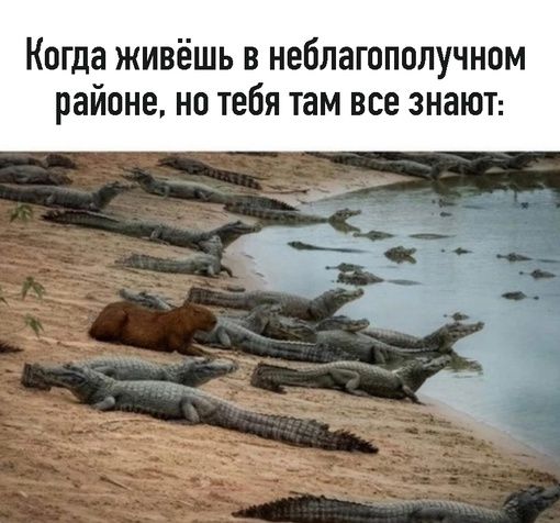 Когда живёшь в неблагополучном районе на тебя там все знают