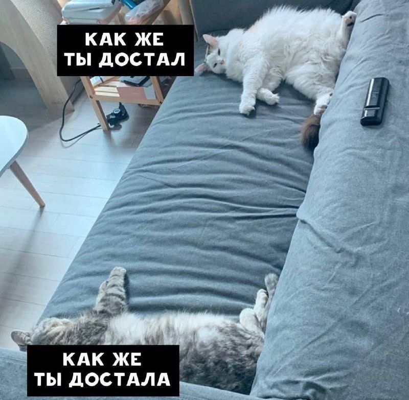 КАК ЖЕ ты дОСТАЛА