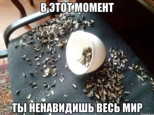 в зтбт момент