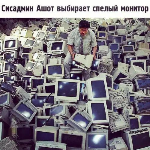 Сисадмин Ашот выбирает спелый монитор