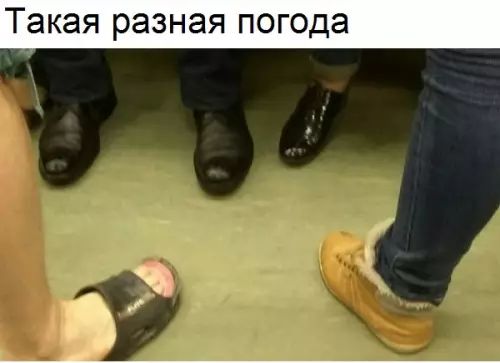 Такая разная погода