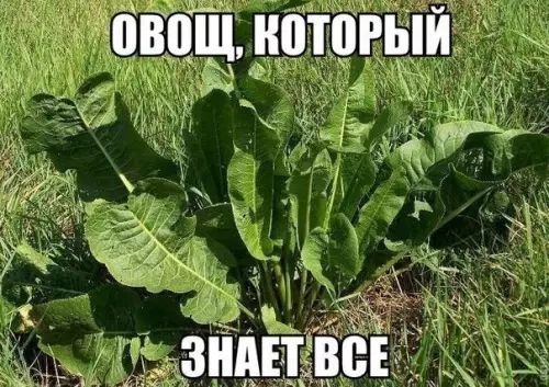 инициатив _ __ _д9_