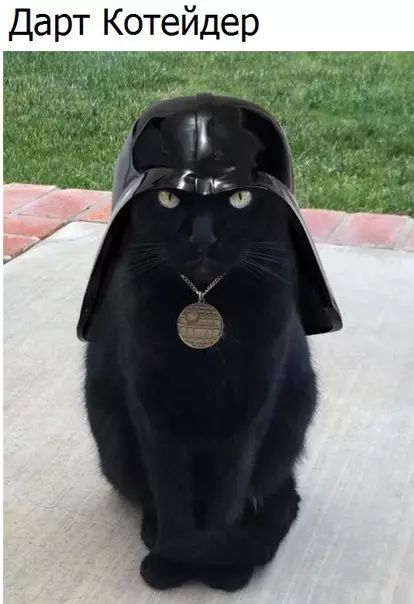 Дарт Котейдер