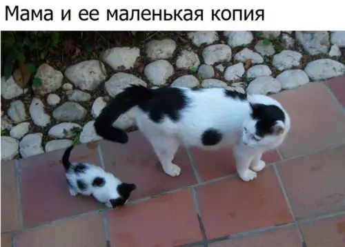 Мама И ее маленькая КОПИЯ