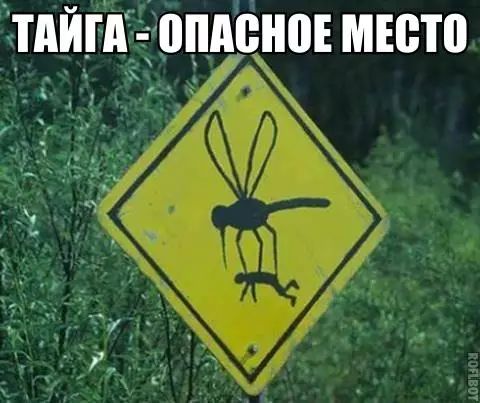 тдйгдд опдсноъ мюто