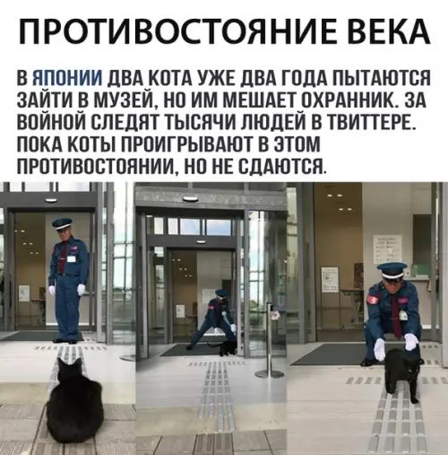 ПРОТИ ВОСТОЯНИЕ ВЕКА В ЯПОНИИ ЦВАКОТА УЖЕ ЛБА ГОДА ПЫТЛЮТВН ЗАИТИ МУЗЕИ НО ИМ МЕШАЕТОХРАННИК ЗА ВОИНОИ СЛЕЛНТ ТЫСЯЧИ ЛЮДЕИ В ТВИТТЕРЕ ПОКА КПТЫ ПРОИГРЫВАЮТ В ЭТОМ ПРОТИВОСТОЯНИИ НО НЕ ЕДАШТСП