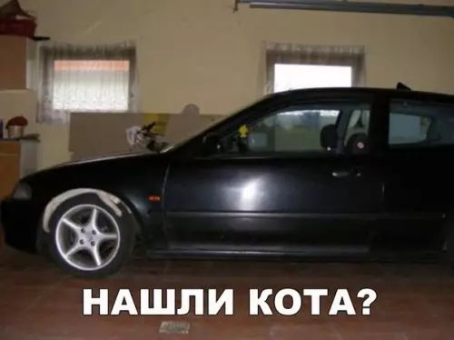 ШПИ КОТА