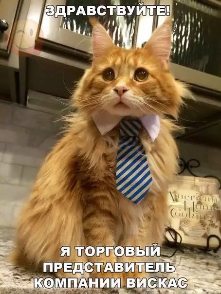 д _ п ЧЩМЁЁ