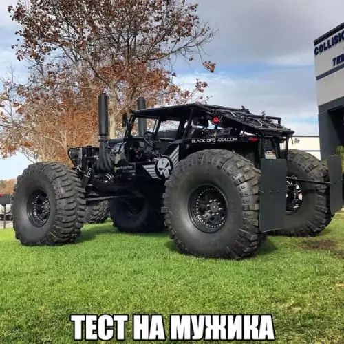 тют нд шиншил