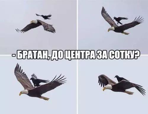 _ШЭПШШЁБЩШШР