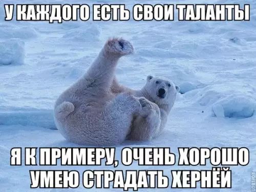 Ю_ШШЬШЦПЕШШШШШ ЦЬП ЧЬШШЁЁ0