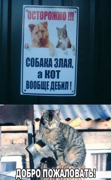 ЭШПЮЖМВ ЬББМШ ЭМП а ШП _ВШБШЕ ШШ _
