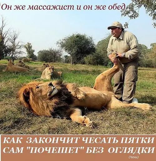 Он же массажист и он же сёдзё К ЗАКОНЧИГ ЧЬСА ГЬ НИТКИ А ПОЧЕПЕТБЕЗ ОГЛЯДКИ