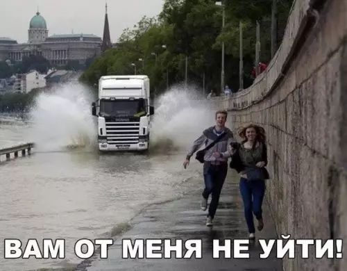 дтмвня нЕуйти