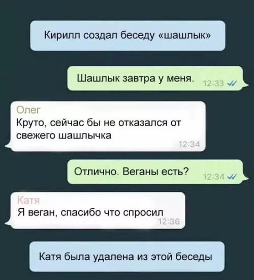 Кирилл создал беседу шпык Шашлык завтрауменя _ _ Крую сейчас бы не отказался от свежего шашпычка Отлично Веганы еть Я веган спасибо что спросил Катя была удалена из этои беседы