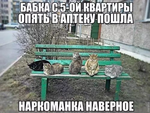 пивномпниднивъгноъ