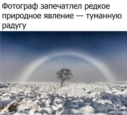 Фотограф запечатлел редкое природное явление туманную РЗДУГУ