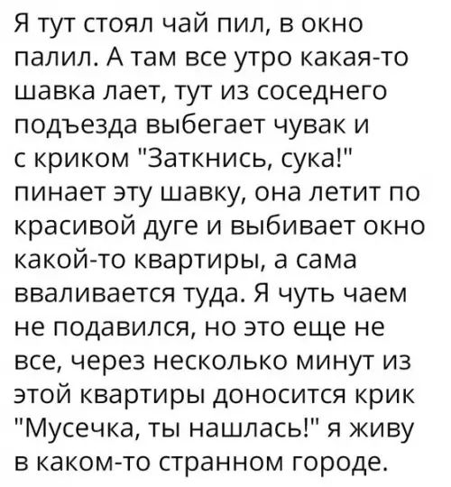 Я тут стоял чай пил в окно палил А там все утро какая то шавка лает тут из соседнего подъезда выбегает чувак и с криком Заткнись сука пинает эту шавку она летит по красивой дуге и выбивает окно какойто квартиры а сама вваливается туда Я чуть чаем не подавился но это еще не все через несколько минут из этой квартиры доносится крик Мусечка ты нашлась я живу в каком то странном городе