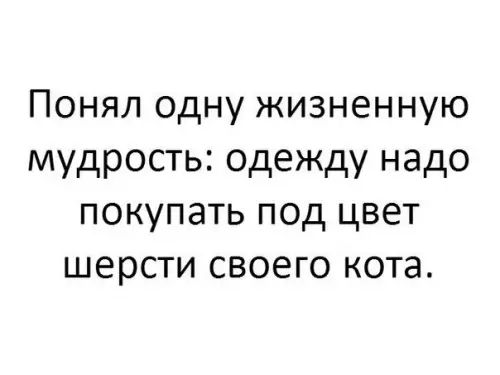 Понял одну жизненную мудрость одежду надо покупать под цвет шерсти своего кота