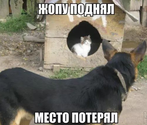 ШВП ШЕП