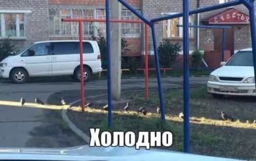 Коподно _ щ