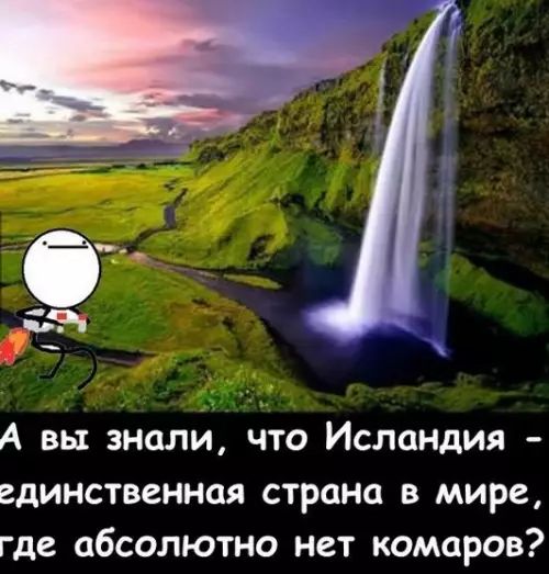 А вы знали что Исландия единственная страна в мире где абсолютно нет комаров