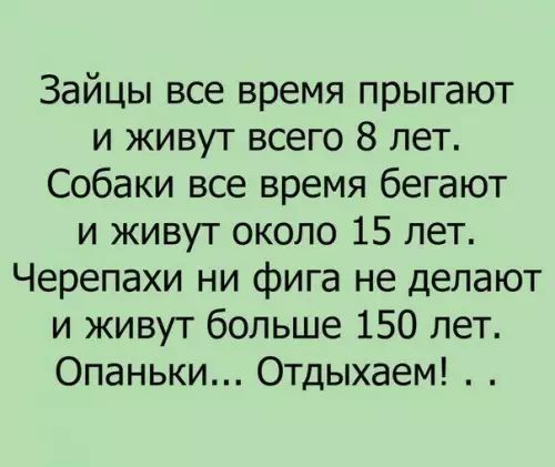 Зайцы все время прыгают и живут всего 8 лет Собаки все время бегают и живут около 15 лет Черепахи ни фига не делают и живут больше 150 лет Опаньки Отдыхаем