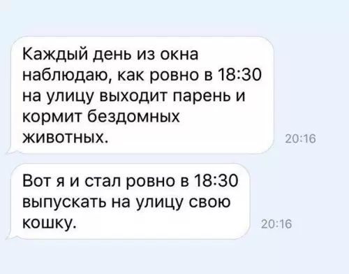 Каждый день из окна наблюдаю как ровно в 1830 на улицу ВЫХОДИТ парень И кормит бездомных животных ъ Вот я и стал ровно в 1830 выпускать на улицу свою кошку