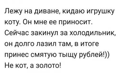 Лежу на диване кидаю игрушку коту Он мне ее приносит Сейчас закинул за холодильник он долго лазил там в итоге принес смятую тыщу рублей Не кот а золото