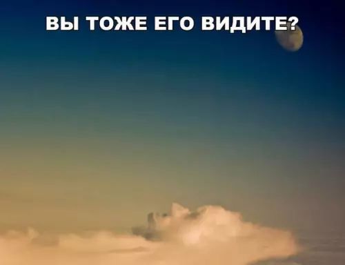 ВЫ ТОЖЕ ЕГО ВИДИТЕ