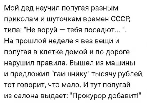 Мой дед научил попугая разным приколам и шуточкам времен СССР типа Не воруй тебя посадют На прошлой неделе я вез вещи и попугая в клетке домой и по дороге нарушил правила Вышел из машины и предложил гаишнику тысячу рублей тот говорит что мало И тут попугай из салона выдает Прокурор добавит