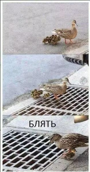 о А д А ы Ч ЪА