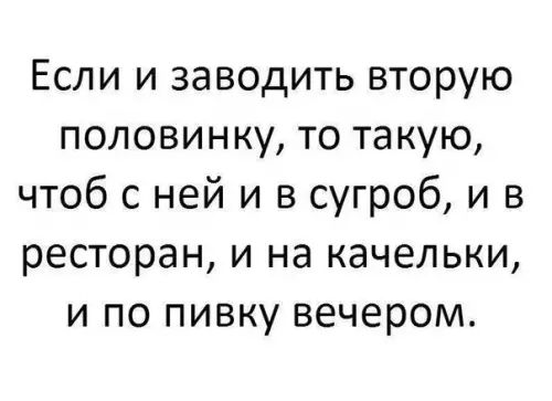 Если и заводить вторую половинку то такую чтоб с ней и в сугроб и в ресторан и на качельки и по пивку вечером