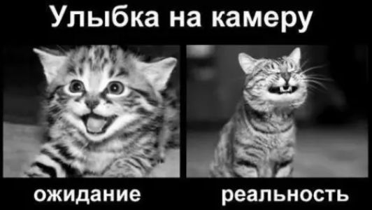 Улыбка на камеру и ожидание реальность