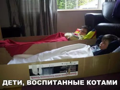 ДЕТИ В СПИТАННЫЕ КОТАМИ