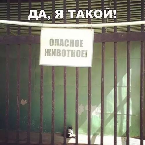 ДА Я ТАКОЙ