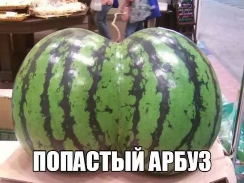 Й поплстый лРБуз