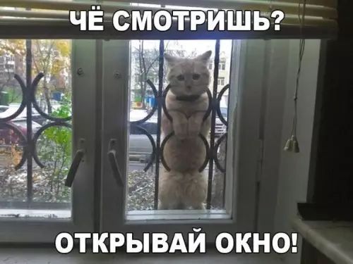 ЧЁСМОТРИШЬ ее ё 1 Ё 4 открывд_й ОКНО