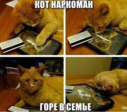 Ф КОТНАРКОМАН ГОРЕВСЕМЬЕ с