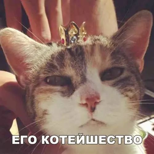 ЕГО КОТЕЙШЕСТВ