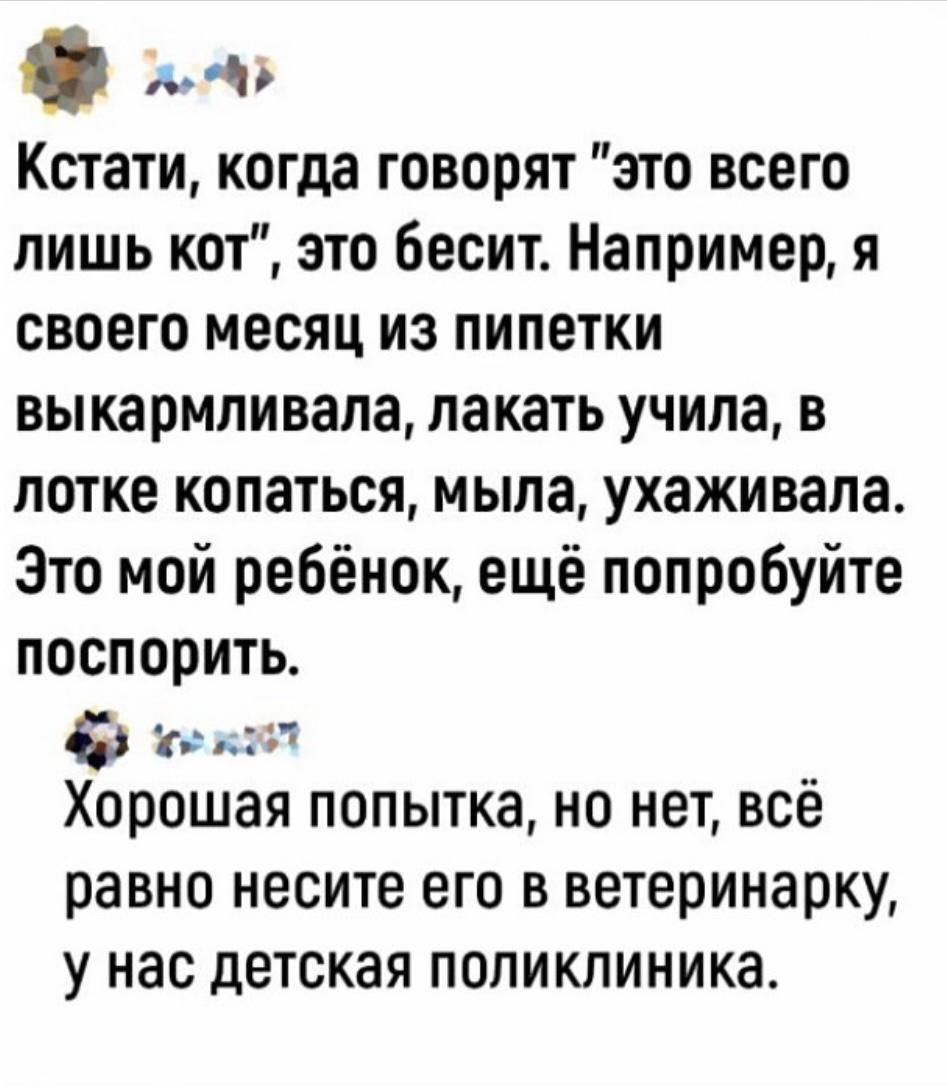 рта Кстати когда говорят это всего лишь кот это бесит Например я своего месяц из пипетки выкармливала лакать учила в лотке копаться мыла ухаживала Это мой ребёнок ещё попробуйте поспорить 65 ке к Хорошая попытка но нет всё равно несите его в ветеринарку у нас детская поликлиника