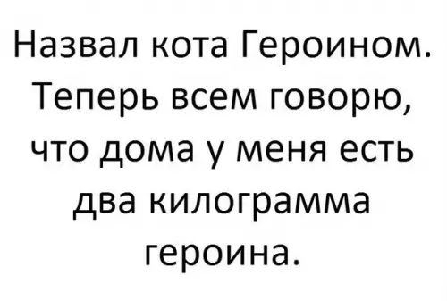 Назвал кота Героином Теперь всем говорю что дома у меня есть два килограмма героина