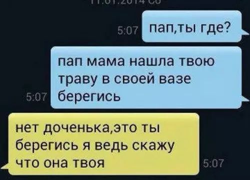 папты где пап мама нашла твою траву в своей вазе берегись этотЫ дь скажу