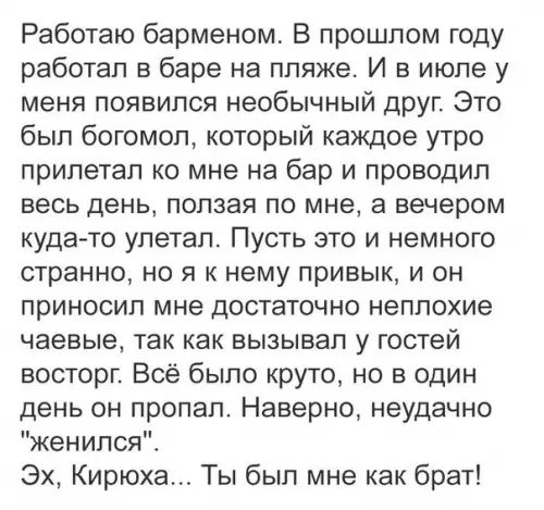 Работаю барменом В прошлом году работал в баре на пляже И в июле у меня появился необычный друг Это был богомол который каждое утро прилетал ко мне на бар и проводил весь день ползая по мне а вечером куда то улетал Пусть это и немного странно но я к нему привык и он приносил мне достаточно неплохие чаевые так как вызывал у гостей восторг Всё было к