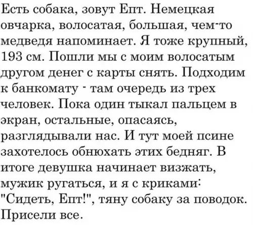 Есть собака зовут Епт Немецкая овчарка волосатая большая чем то медведя напоминает Я тоже крупный 193 см Пошли мы с моим волосатым другом денег с карты снять Подходим к банкомату там очередь из трех человек Пока один тыкал пальцем в экран остальные опасаясь разглядывали нас И тут моей псине захотелось обнюхать этих бедняг В итоге девушка начинает в