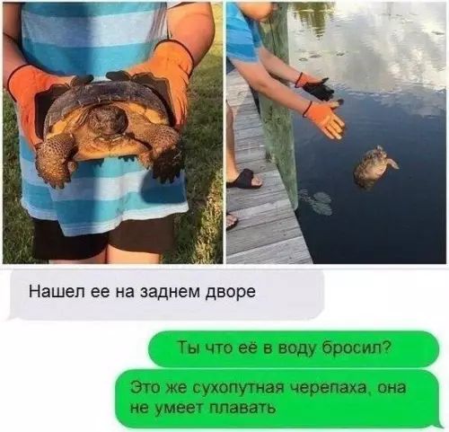 Нашел ее на заднем дворе