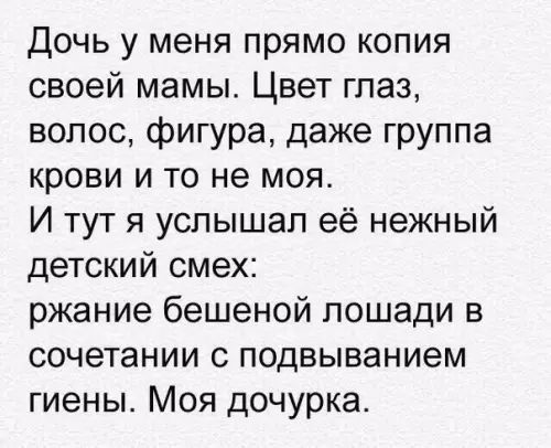 Дочь у меня прямо копия своей мамы Цвет глаз волос фигура даже группа крови и то не моя И тут я услышал её нежный детский смех ржание бешеной лошади в сочетании с подвыванием гиены Моя дочурка