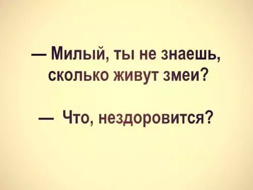 Милый ты не знаешь сколько живут змеи Что нездоровится