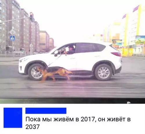 Пока мы живём в 2017 он живёт в 2037