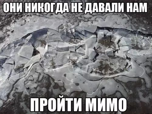 т пгвити мимо